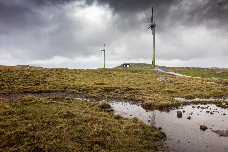 Peatlands and heathlands are the largest long-term carbon sequestration sinks Peatlands and heathlands are the largest long-term carbon sequestration sinks