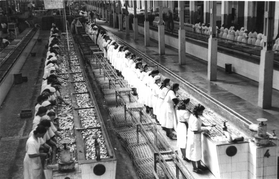 Exposición As mulleres e o mar. O traballo feminino nas industrias marítimas de Galicia. Séculos XIX e XX Exposición As mulleres e o mar. O traballo feminino nas industrias marítimas de Galicia. Séculos XIX e XX