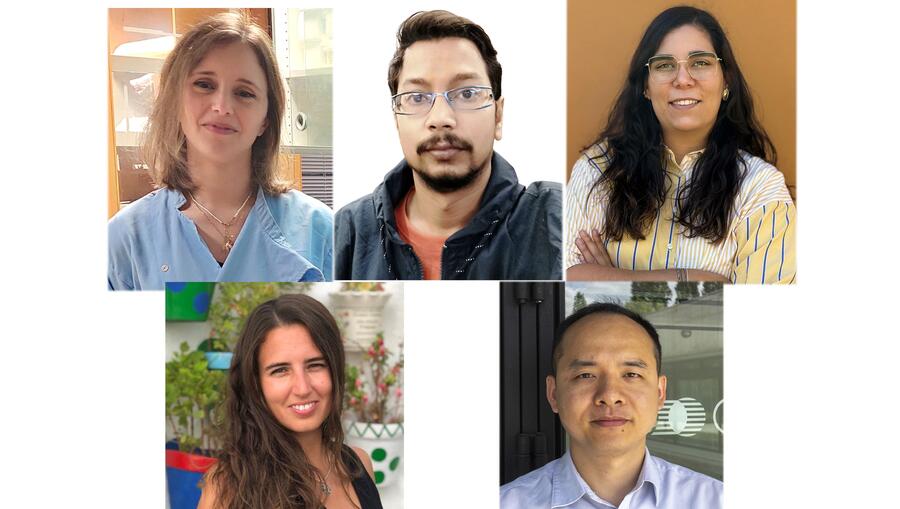 De esquerda a dareita e de arriba a abaixo: M. Inés Paiva, Adrindam Mal, Mafalda Gonçalves, Verónica Relano e Lin Chen De esquerda a dareita e de arriba a abaixo: M. Inés Paiva, Adrindam Mal, Mafalda Gonçalves, Verónica Relano e Lin Chen