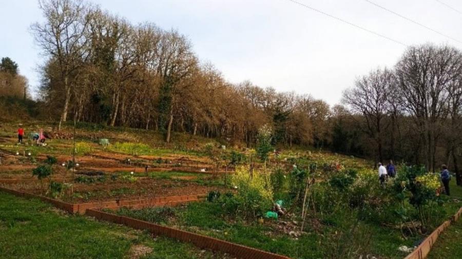View of an urban vegetable garden in Lugo View of an urban vegetable garden in Lugo