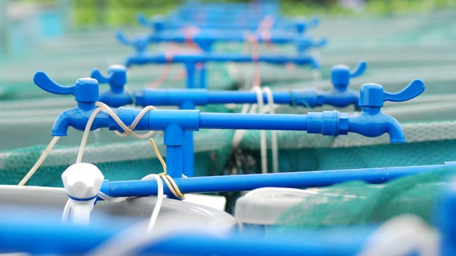 Aquaculture produces as much fish today as the extractive activity Aquaculture produces as much fish today as the extractive activity