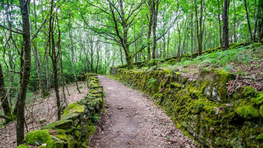 Reconciling enjoyment and care for nature is one of the challenges of this era Reconciling enjoyment and care for nature is one of the challenges of this era