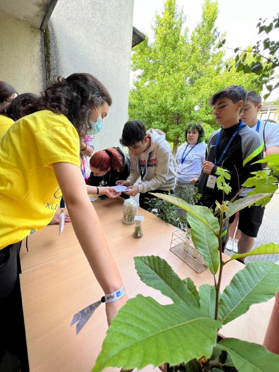 Estudantes, nunha das actividades da xincana de XuvenCiencia Estudantes, nunha das actividades da xincana de XuvenCiencia