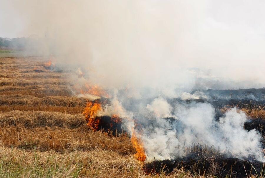 Our ancestors perfected the technique of fire in order to use the land for livestock and agriculture Our ancestors perfected the technique of fire in order to use the land for livestock and agriculture