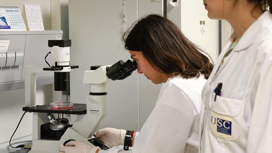 Laboratorio da USC. Imaxe de arquivo. FOTO: Santi Alvite Laboratorio da USC. Imaxe de arquivo. FOTO: Santi Alvite
