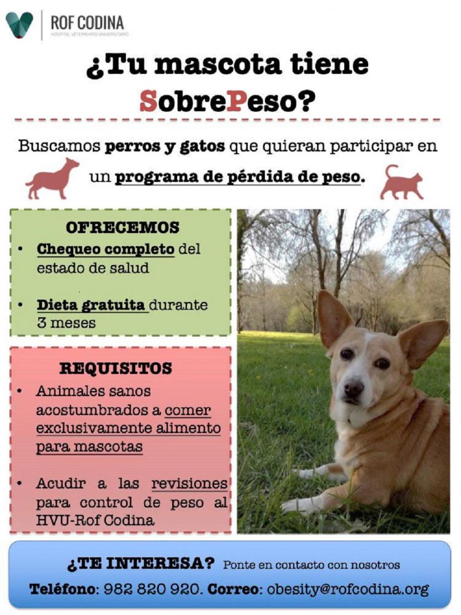 Cartaz co programa de control de peso en mascotas promovido polo hospital veterinario Rof Codina Cartaz co programa de control de peso en mascotas promovido polo hospital veterinario Rof Codina