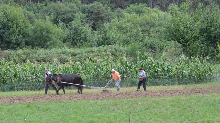 Imaxe de labores agropecuarias Imaxe de labores agropecuarias