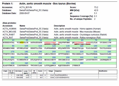 Fig.4.3: Identificación da proteína dun dixerido tríptico, mediante análise de fragmentación MSMS Maldi. Resultados de identificación dunha proteína a partir dos espectros MSMS de fragmentación.