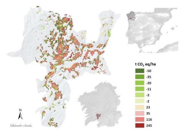 O 60 por cento das explotacións vitivinícolas do Ribeiro e Rías Baixas operan de maneira ecoeficiente O 60 por cento das explotacións vitivinícolas do Ribeiro e Rías Baixas operan de maneira ecoeficiente