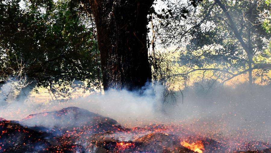 O programa aborda as relacións entre o clima, a meteoroloxía e os incendios. FOTO: Santi Alvite O programa aborda as relacións entre o clima, a meteoroloxía e os incendios. FOTO: Santi Alvite