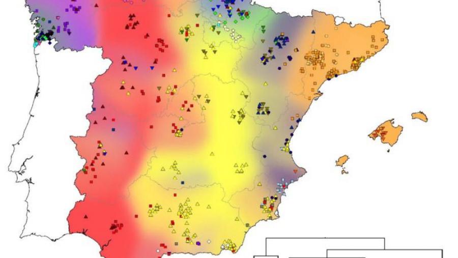 Detalle dos distintos agrupamentos xenéticos identificados ao longo do territorio peninsular Detalle dos distintos agrupamentos xenéticos identificados ao longo do territorio peninsular
