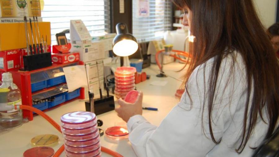 A USC afiánzase entre as dez universidades españolas con maior produción científica de relevancia internacional A USC afiánzase entre as dez universidades españolas con maior produción científica de relevancia internacional
