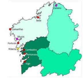O 60 por cento das explotacións vitivinícolas do Ribeiro e Rías Baixas operan de maneira ecoeficiente O 60 por cento das explotacións vitivinícolas do Ribeiro e Rías Baixas operan de maneira ecoeficiente
