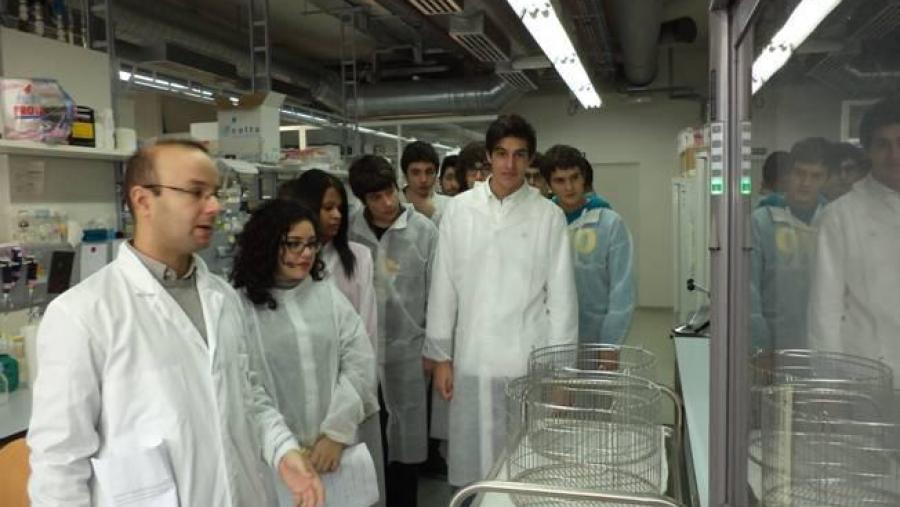 Xornadas de divulgación no CiQUS Xornadas de divulgación no CiQUS