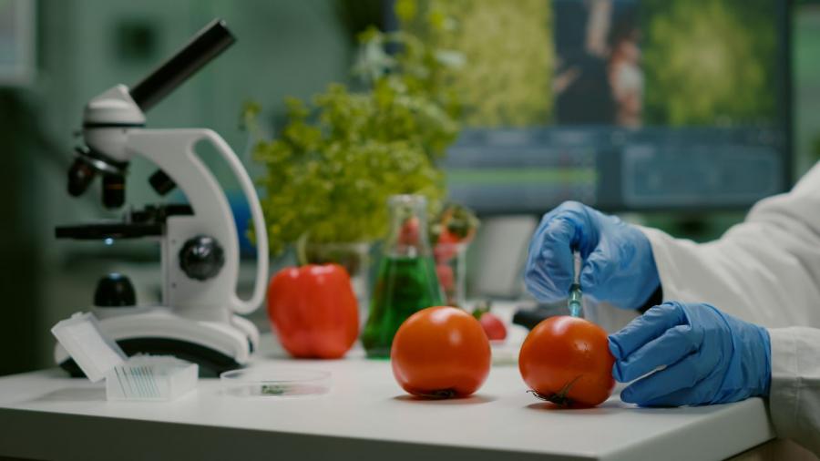 Nanotechnology has a great potential for the food industry Nanotechnology has a great potential for the food industry
