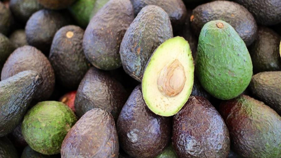 O patóxeno afecta aos aguacates. FOTO: Pixabay O patóxeno afecta aos aguacates. FOTO: Pixabay