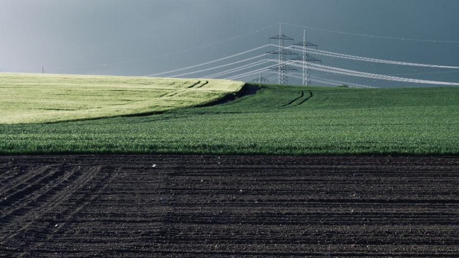 Ecophysiology attempts to understand the relationship between the functioning of a plant and its environment Ecophysiology attempts to understand the relationship between the functioning of a plant and its environment