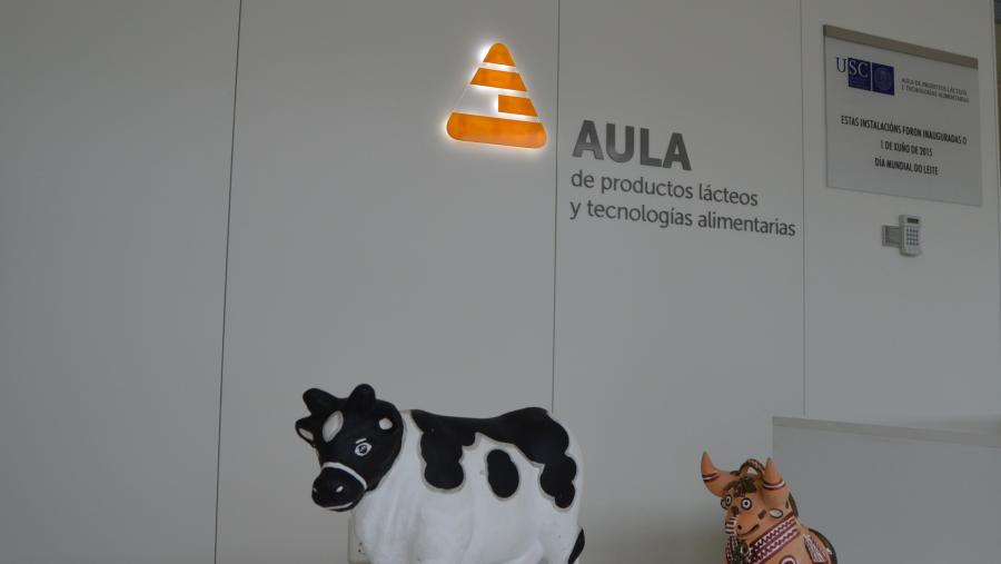 Vaca leiteira e toro representivo de Perú, na Aula de Produtos Lácteos da USC Vaca leiteira e toro representivo de Perú, na Aula de Produtos Lácteos da USC