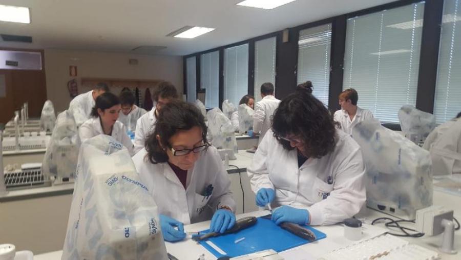 Investigadores no taller de necropisa de peixes, en Veterinaria Investigadores no taller de necropisa de peixes, en Veterinaria