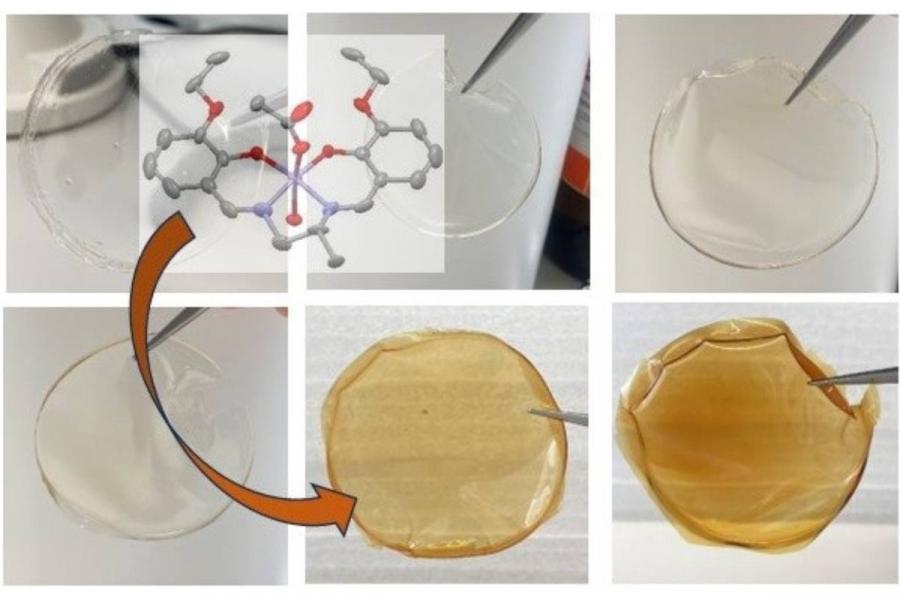 DURAMAIS could be a remarkable breakthrough for the food industry DURAMAIS could be a remarkable breakthrough for the food industry
