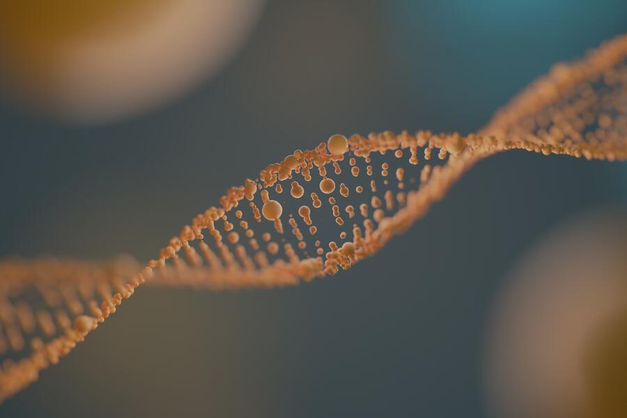 Genetic diversity is the raw material for the adaptation and evolution of natural populations Genetic diversity is the raw material for the adaptation and evolution of natural populations