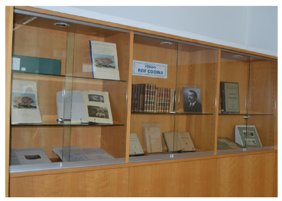 Material do arquivo persoal de Rof Codina empregado para elaborar a mostra organizada por Asoporcel Material do arquivo persoal de Rof Codina empregado para elaborar a mostra organizada por Asoporcel