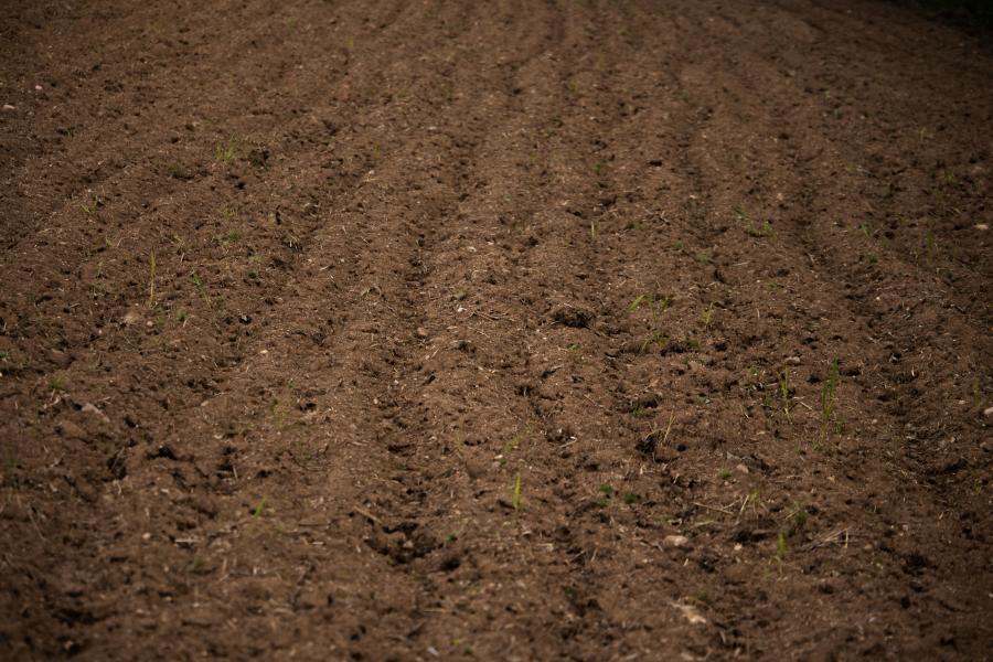 Soil, among many other things, contributes to climate regulation through the carbon cycle Soil, among many other things, contributes to climate regulation through the carbon cycle