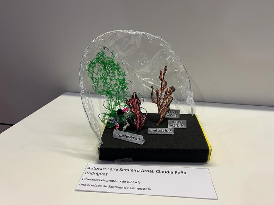 ‘Bioarte para a concienciación sobre o cambio climático’ ‘Bioarte para a concienciación sobre o cambio climático’