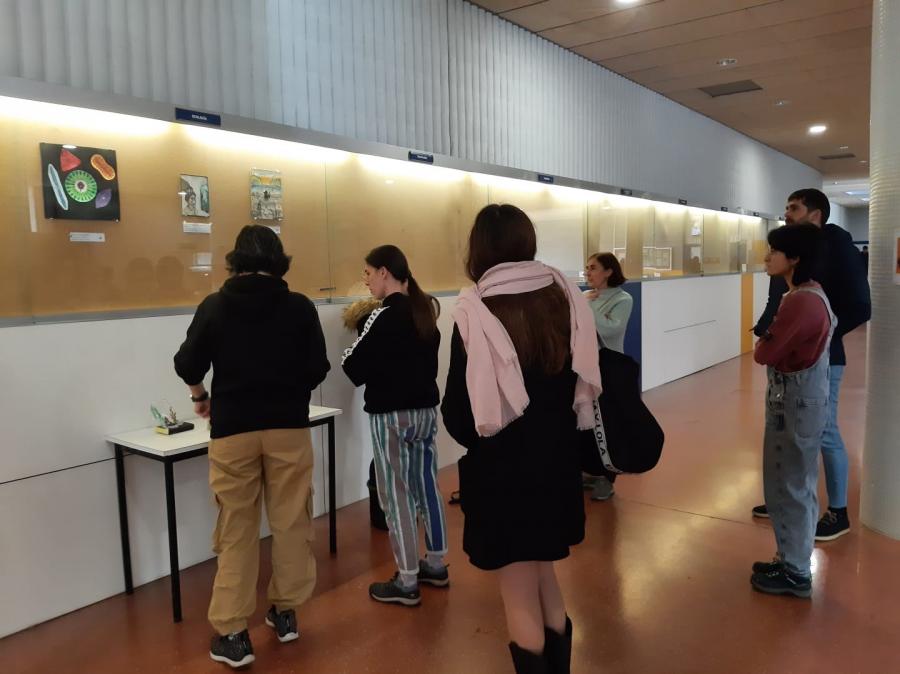 ‘Bioarte para a concienciación sobre o cambio climático’ ‘Bioarte para a concienciación sobre o cambio climático’
