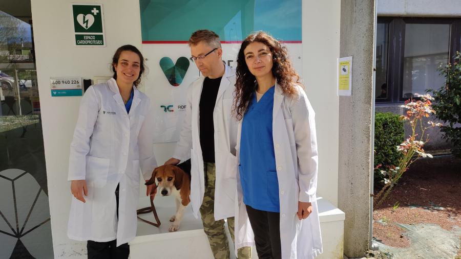 Susana Muñiz de Miguel, Javier Diéguez e Ángela González, no hospital veterinario Rof Codina Susana Muñiz de Miguel, Javier Diéguez e Ángela González, no hospital veterinario Rof Codina