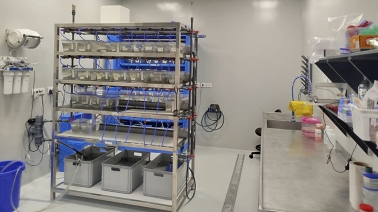 Sistema modular de recirculación en aceiro inoxidable
