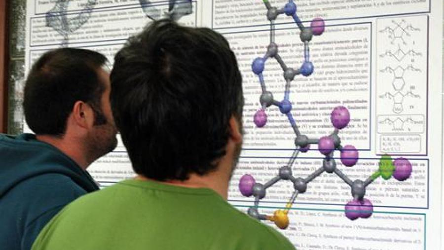A reunión científica compleméntase cunha mostra de carteis no que se expón o traballo dos seus vinte e oito grupos de investigación e as preto de 75 liñas de investigación A reunión científica compleméntase cunha mostra de carteis no que se expón o traballo dos seus vinte e oito grupos de investigación e as preto de 75 liñas de investigación
