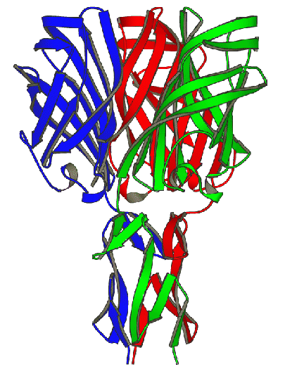 Single crystal diffraction