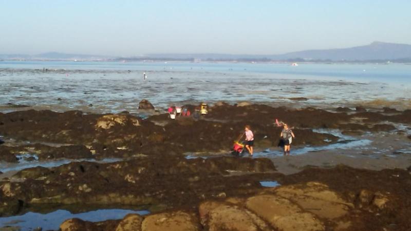 A caravana pola acuicultura impulsada pola Rede Inmunogenom pon en valor a importancia do sector en Galicia