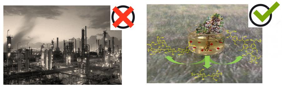 Lignocellulosic biomass fractionation