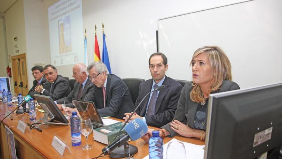 A catedrática Raquel Castillejo, en primeiro plano, dirixe este encontro internacional. Foto: Alfonso-Servimav