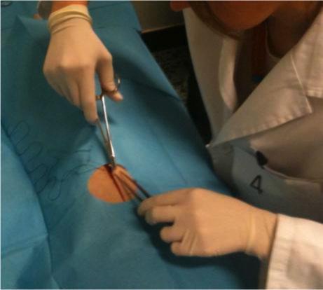 A proba de avaliación das competencias profesionais dos estudantes de último curso de Medicina mobilizou esta fin de semana arredor de 300 persoas