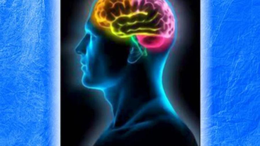 La arquitectura cognitiva de la percepción, novo título editado en acceso aberto pola USC