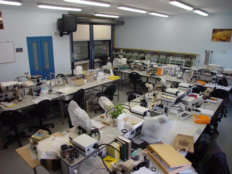 Laboratorio