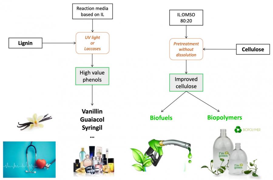 Lignocellulosic biomass fractionation