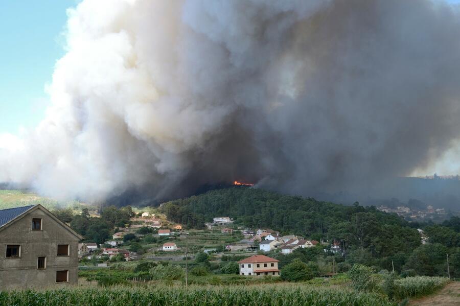 Forest fires, in any part of the world, respond to common behavioural patterns