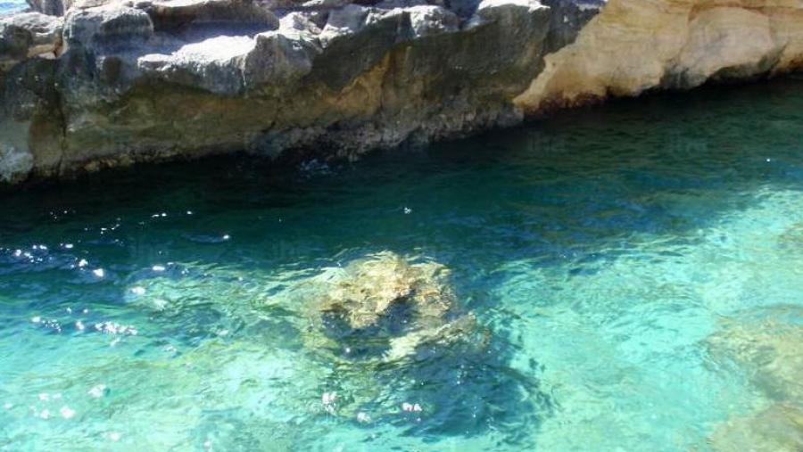 Investigadores da USC estudan os beneficios económicos e socioculturais dos servizos ecosistémicos mariños en Iberoamérica