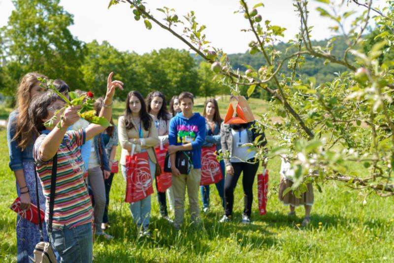 A USC achégase a estudantes de ESO e bacharelato cun campus estival que se desenvolverá do 23 ao 27 de xuño en Lugo