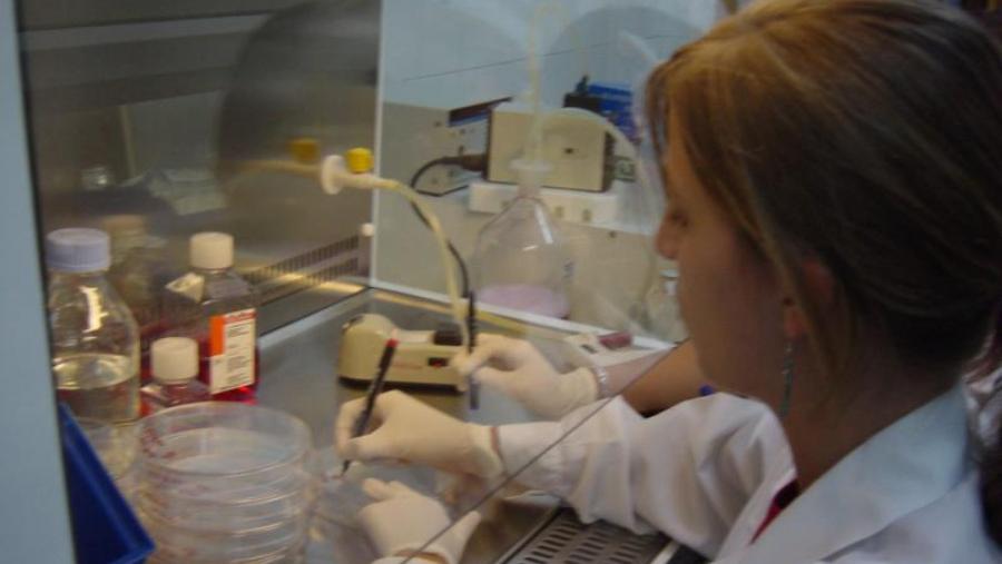 A USC repite por décimo ano entre as 500 mellores universidades no eido da produción científica
