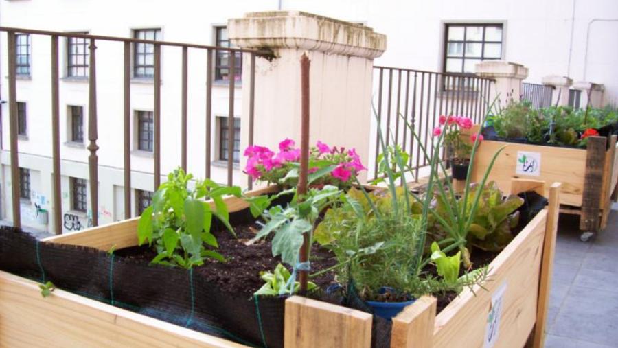 O Plan de Desenvolvemento Sostible da USC organiza un seminario sobre horticultura urbana