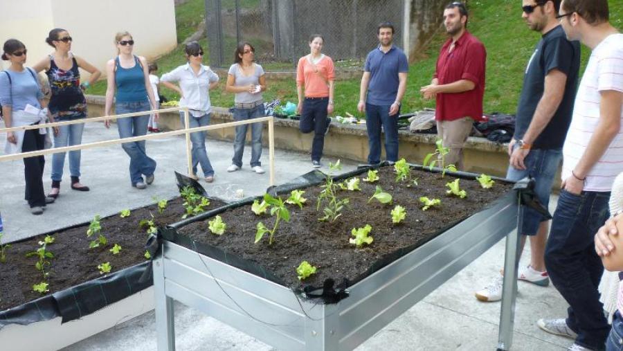 Actividade de agricultura ecolóxica organizada pola Oficina de Desenvolvemento Sostible da USC
