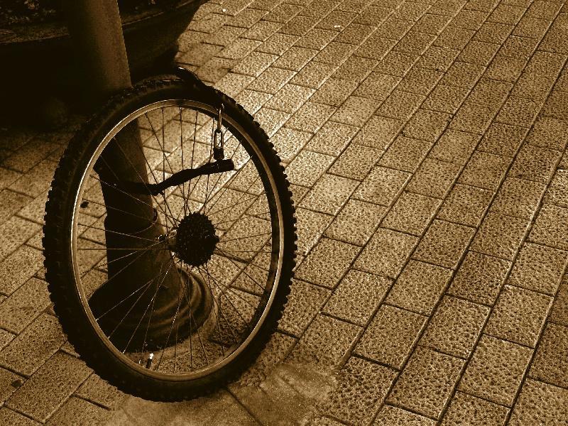 O Campus de Lugo entrega os premios aos mellores traballos do seu XVIII Maratón Fotográfico