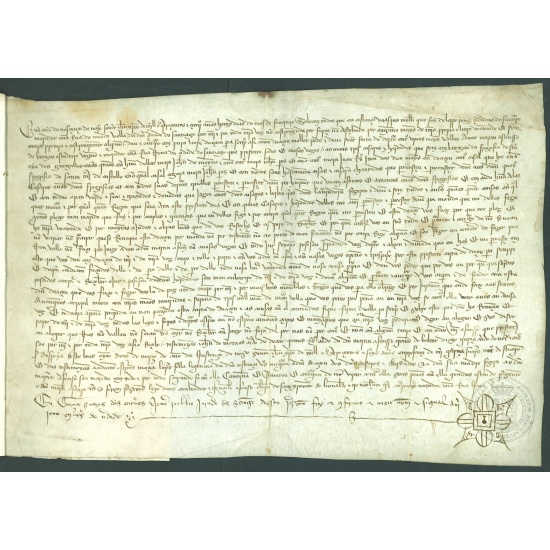 Fondo Universitario. Donación de Constanza Vázquez a Martín Afonso de Burgos (1405-1406).