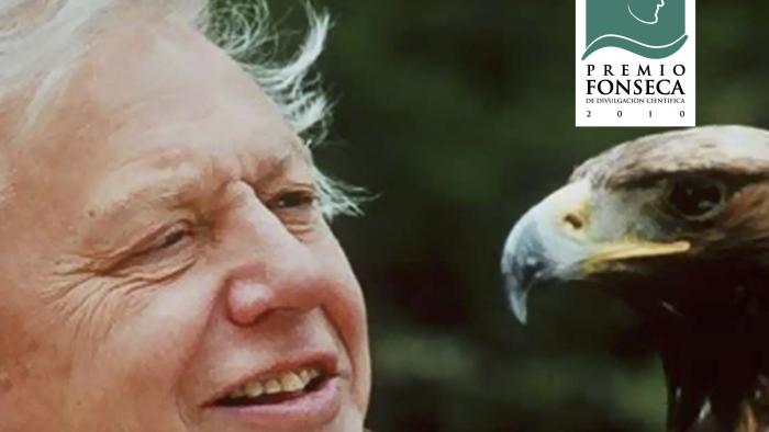 Poster of the conference