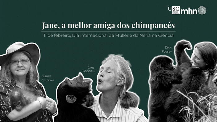Jane, a mellor amiga dos chimpancés